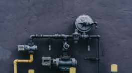 pexels-scott-webb-1029635